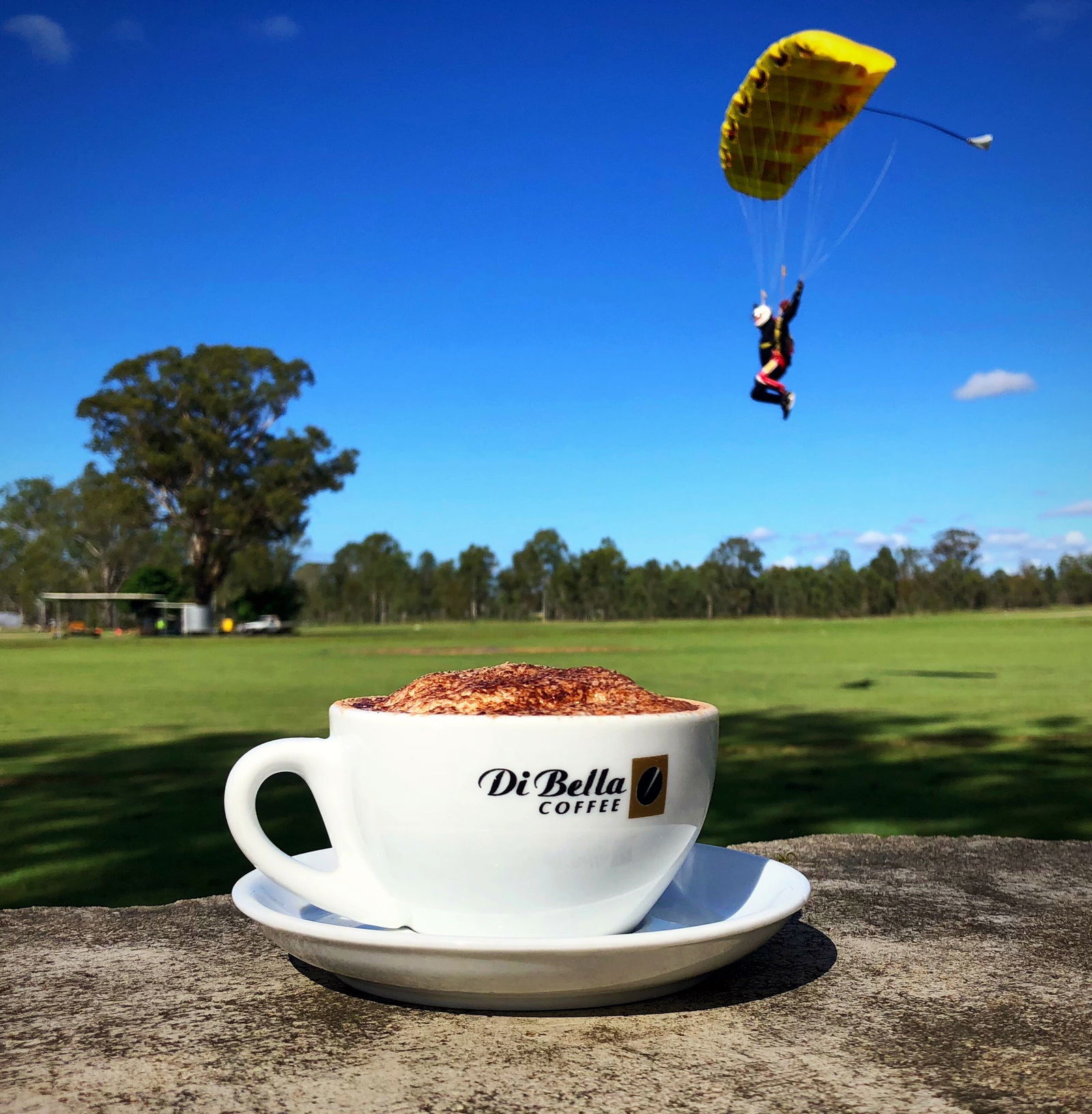 Lower Cressbrook QLD Restaurant Guide