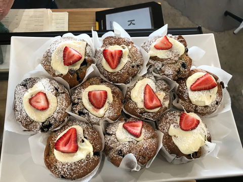 Edina Waterfront Cafe - Restaurant Guide 0
