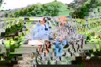 Four Winds Vineyard Cellar Door