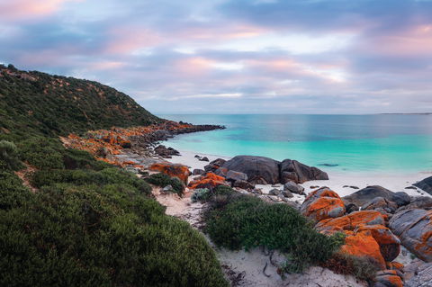 Marion Bay Tavern - Restaurant Guide 0