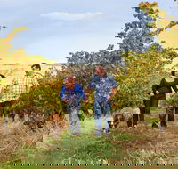 WayWood Wines - Restaurant Guide
