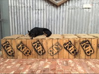 Kangaroo Island Brewery