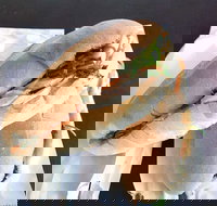 Lunch Bake - Restaurant Guide