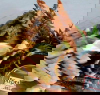 Redfish Fish Chips  Grill - Restaurant Guide