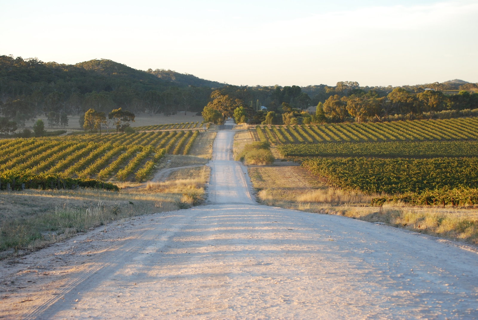 Clare Valley And The Mid North SA Restaurant Guide