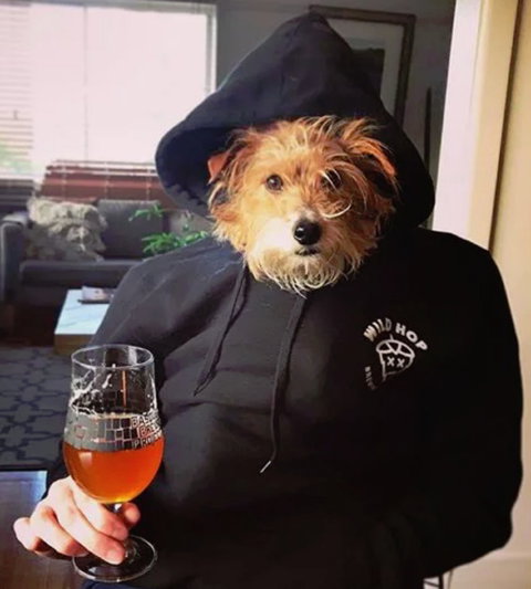 Wild Hop Brewing Company - Restaurant Guide 1