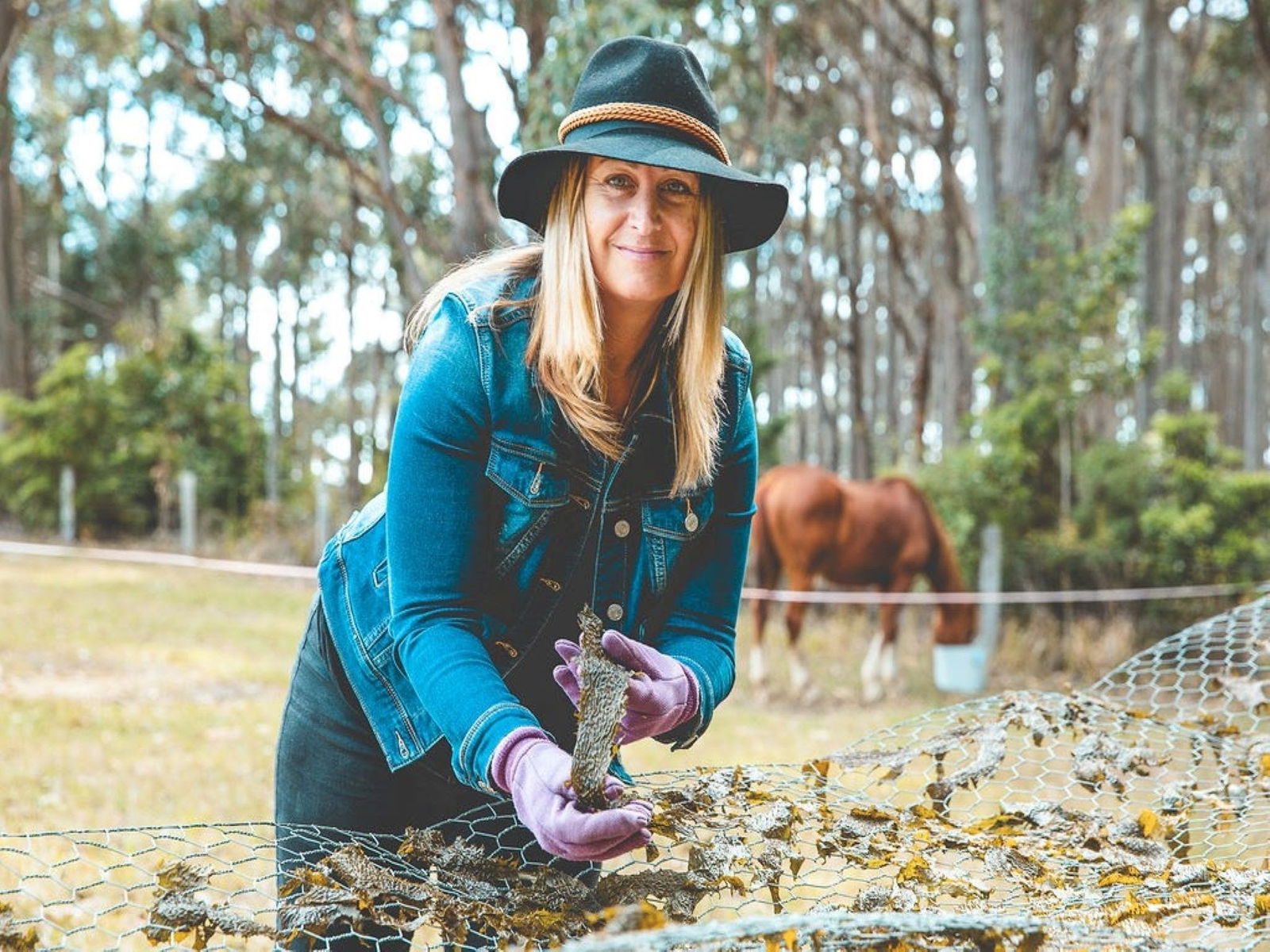 Mystery Bay NSW Restaurant Guide