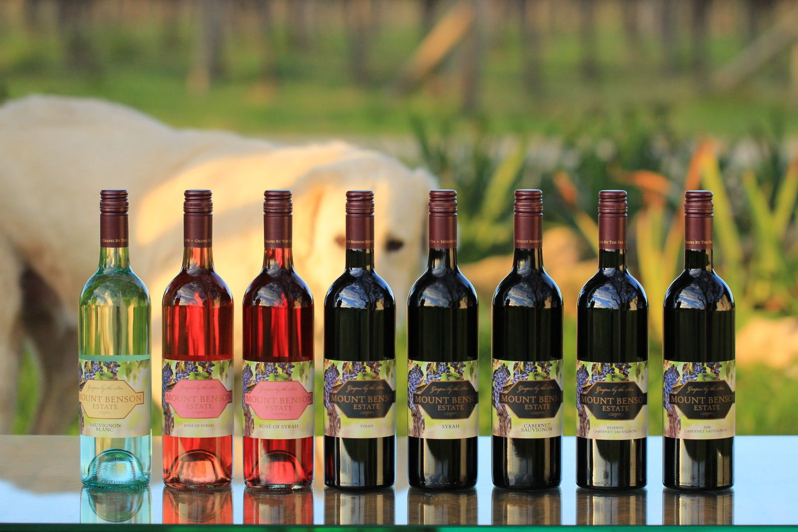 Keilira SA Restaurant Guide