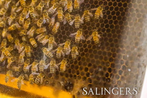 Salingers Cafe - Restaurant Guide 2