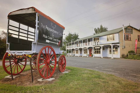 The Pepperberry Cafe - Restaurant Guide 0