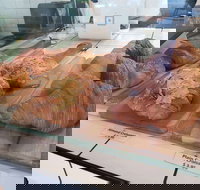 Ganache Chocolate - Restaurant Guide