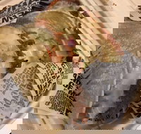 Guzman Y Gomez - Perth Airport - Restaurant Guide