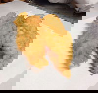 Hooked and Cooked Fish and Chips - Restaurant Guide