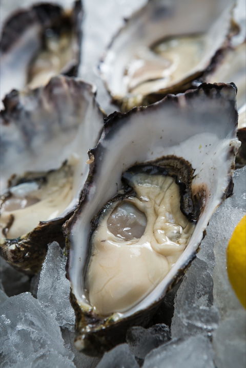 Lobster Shack Tasmania - Restaurant Guide 1
