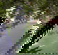 Noosa Waterfront Restaurant - Restaurant Guide