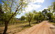 Tahbilk Winery And Vineyard - thumb 1