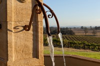Thomas Allen Wines
