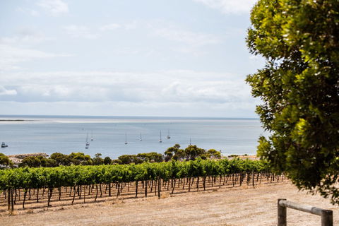 Bay Of Shoals Wines - Restaurant Guide 2