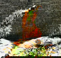 Cafe Bear and Scoobs - Restaurant Guide