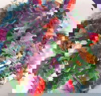 Cafe Bella Rosa - Restaurant Guide