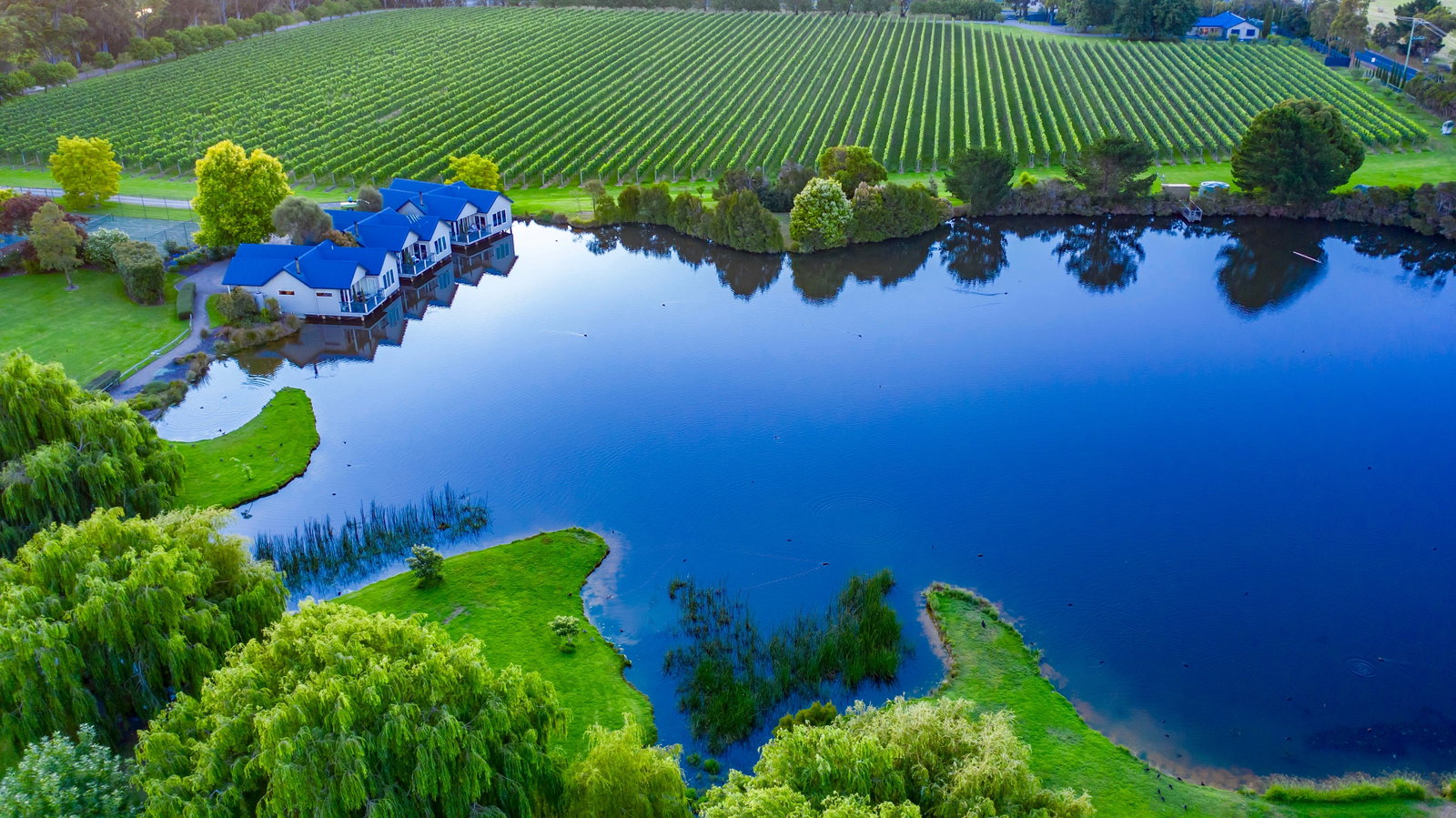 Crittenden Estate Dromana