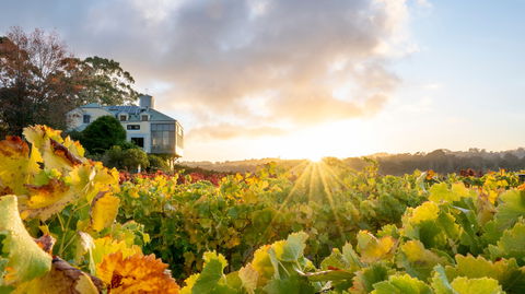 Hahndorf Hill Winery - Restaurant Guide 0