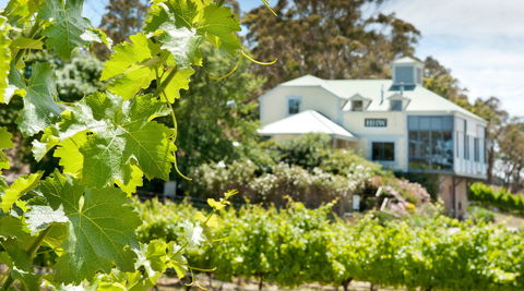 Hahndorf Hill Winery - Restaurant Guide 2