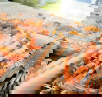 Rufus King Seafoods Amity Point - Restaurant Guide