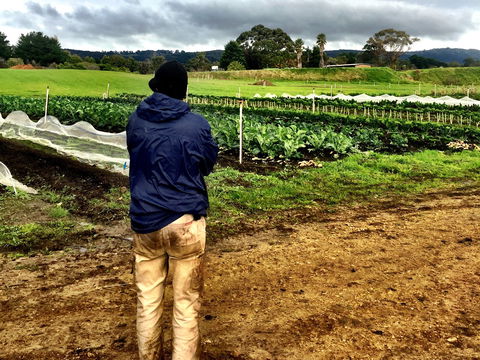 Torello Farm - Restaurant Guide 2