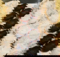 Uber Caf - Restaurant Guide