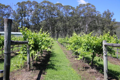 Woongooroo Estate Winery - Restaurant Guide 0