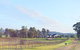 Blacklea Vineyard And Olive Grove - thumb 0