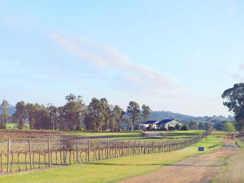 Blacklea Vineyard And Olive Grove - Restaurant Guide 0