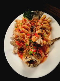 Brighton Takeaway and Brighton Restaurant Guide Restaurant Guide