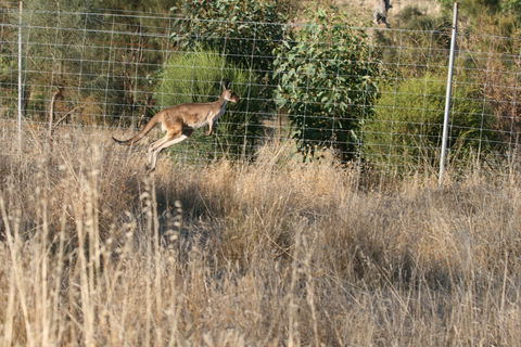 Hahndorf Venison - Restaurant Guide 2