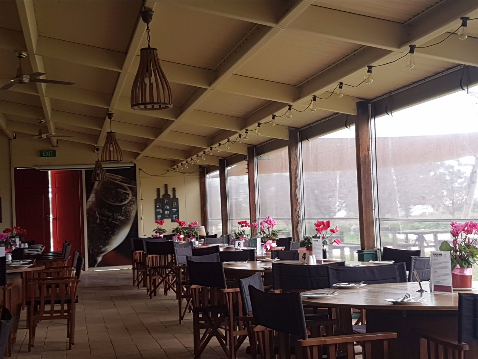 Angas Plains Wines Cellar Door Langhorne Creek