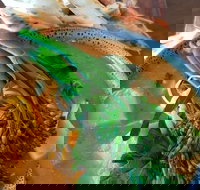 Fairbrossen Estate - Restaurant Guide