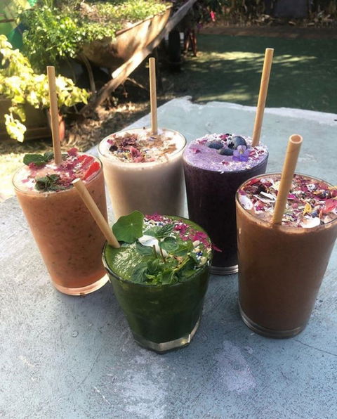 Garden Grub Cafe - Restaurant Guide 0