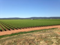 Melange Wines