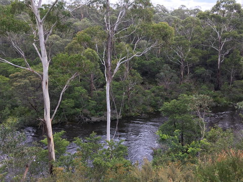 Mongarlowe Gourmet - Restaurant Guide 2