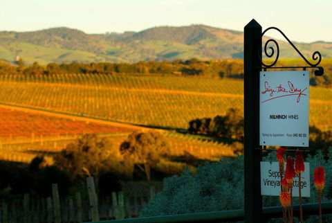 Seize The Day Wines - Restaurant Guide 0