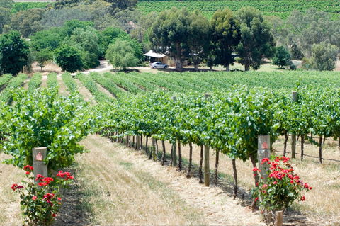 Seize The Day Wines - Restaurant Guide 2
