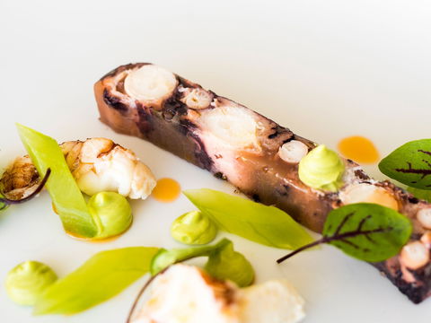 The Wild Herring - Restaurant Guide 0