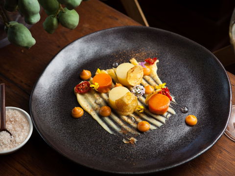 The Peak Restaurant At Spicers Peak Lodge - Restaurant Guide 2