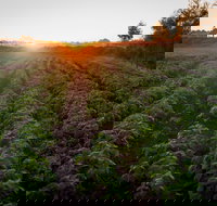 Phoenix Park Farm Gate - Restaurant Guide