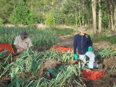 Sweet Water Farm - Restaurant Guide 0
