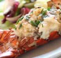 Bondi Harvest - Restaurant Guide