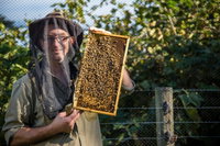Pure Peninsula Honey