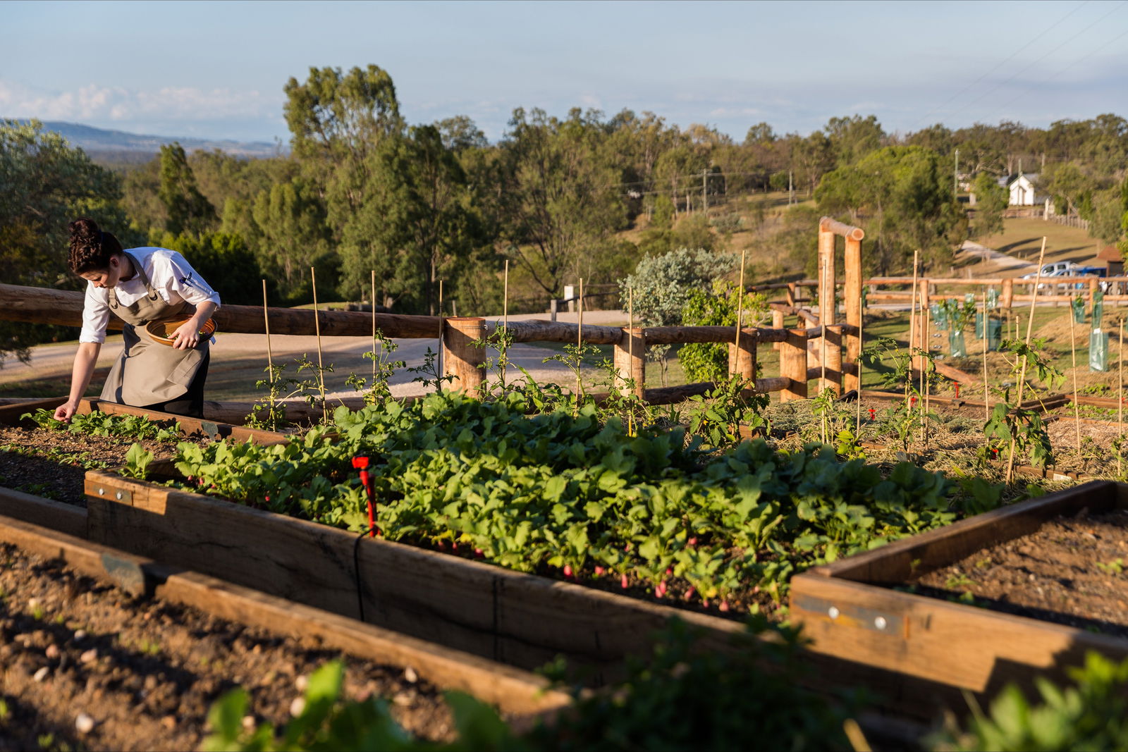 Grandchester QLD Restaurant Guide