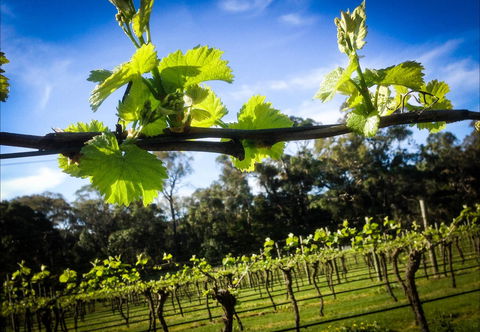 Michael Unwin Wines - Restaurant Guide 1